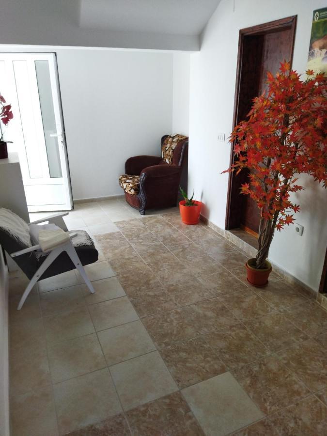 Apartmani Bellami Bečići Eksteriør billede
